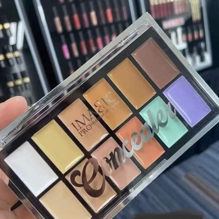 Imagic 12 color professional concealer palette